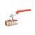 Ball valve vn-vn (flag)